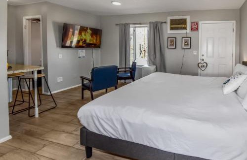 Dupont House | Spacious Studio with King Bed & Fast WiFi