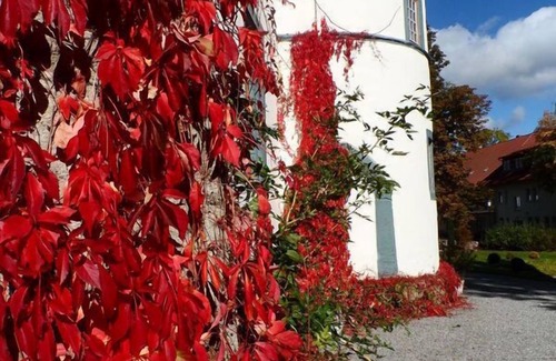 Roßdorf Apartment | Spacious vacation apartment (50 sqm) for up to 2 people with TV