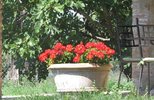 Gualdo Cattaneo Villa | Spacious villa with swimming pool in stunning scenery and picturesque villages