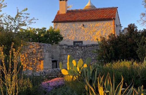 Alberobello Villa | Spacious villa with pool in Bari 100 m² - Lush garden