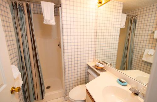 Ludlow Apartment | Spacious Winterplace 2 Br Condo- Okemo condo