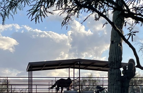 Wickenburg Apartment | Spanish style casita on horse property in the heart of Wickenburg