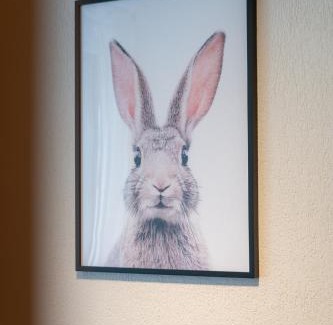 Breite Apartment | Special ROGER F RABBIT 2 Apartment, Roche Towers, 10-STAR