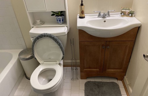 Sykesville House | Specious Basement Suite