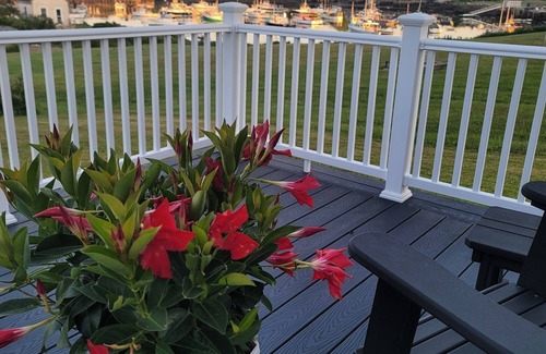 Corea House | Spectacular Corea Harborside house minutes to Acadia National Park Schoodic Entry