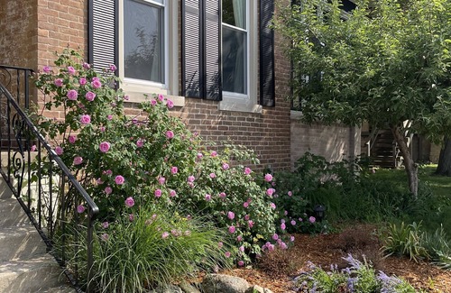 Michigan City House | Spectacular Historic Home steps to Outlet, Bars, Restaurants, Shopping, Beach