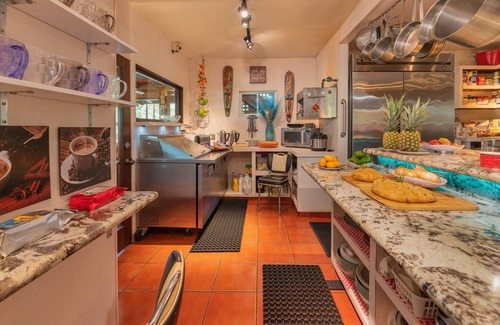 Antoneys Cay House | SPECTACULAR JUNGLE CANOPY TREE HOUSE WITH WATERFALL POOL & GYM!