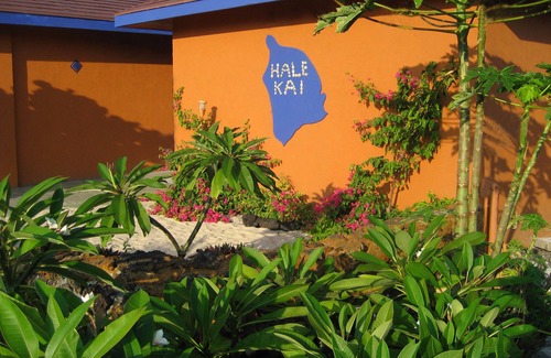 South Kona House | Spectacular Oceanfront! 20' from the Sea