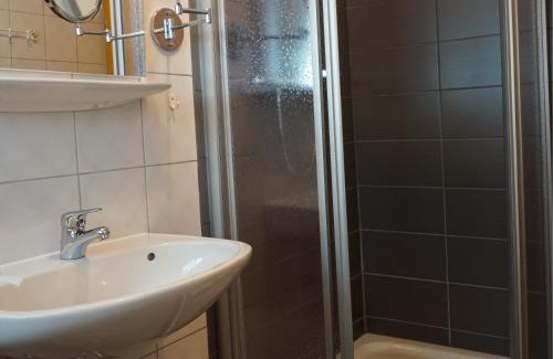 Bad Peterstal-Griesbach Apartment | Spinnertonihof