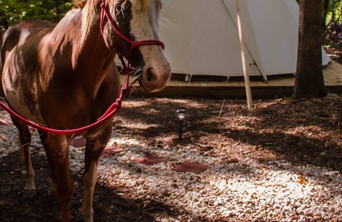 Lynchburg Cabin | Spirit Lodge ~ Upscale Camping in Authentic Tipi