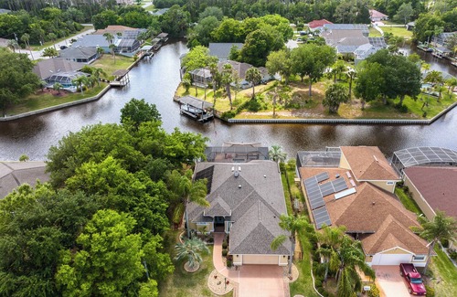 Palm Harbor Cottage | Splashing Dolphins