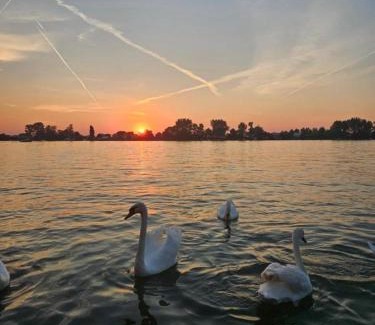 Cukarica Apartment | Splav na Savi