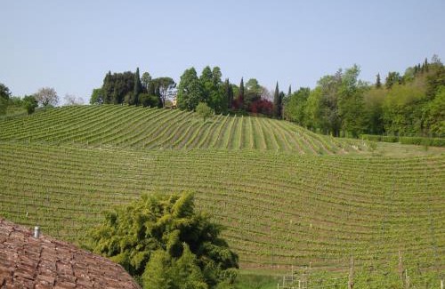 Conegliano Hotel | Sporting Hotel Ragno D'oro