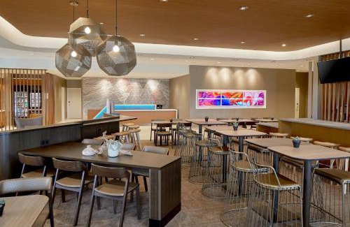 Paw Creek Hotel | SpringHill Suites by Marriott Charlotte at Carowinds