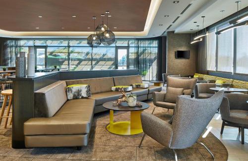Paw Creek Hotel | SpringHill Suites by Marriott Charlotte at Carowinds