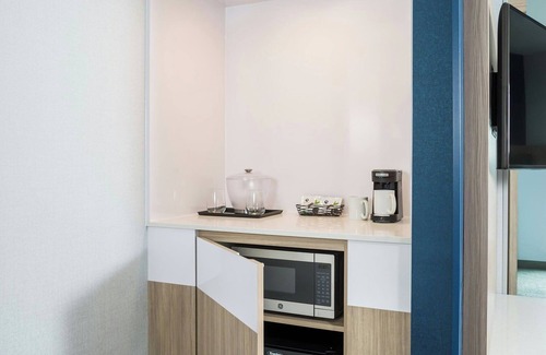 Downtown St. Paul Hotel | SpringHill Suites by Marriott St. Paul Downtown