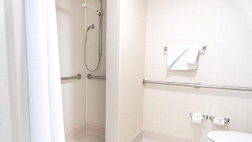Elmhurst Hotel | Springhill Suites by Marriott Chicago Elmhurst Oakbrook Area
