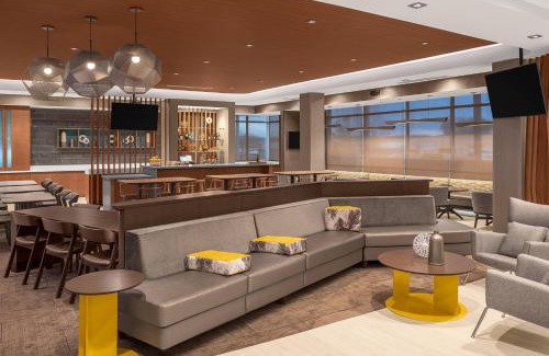 Jackson Hotel | SpringHill Suites by Marriott Jackson