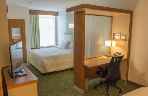 Sumter Hotel | SpringHill Suites by Marriott Sumter