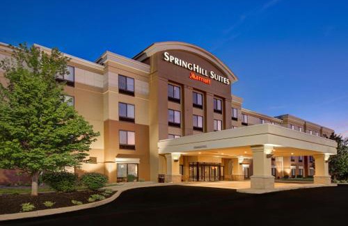 Erie Hotel | SpringHill Suites Erie
