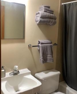 Bloomfield Hotel | Springs Motel