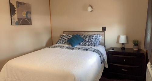 Bloomfield Hotel | Springs Motel