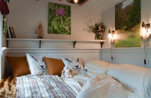 Wilmslow House | Spruce Shepherd's Hut
