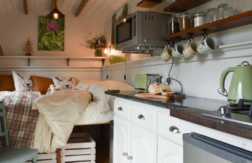 Wilmslow House | Spruce Shepherd's Hut