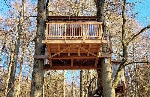 Solling Apartment | Spruce tree tent - Baumhaushotel Solling