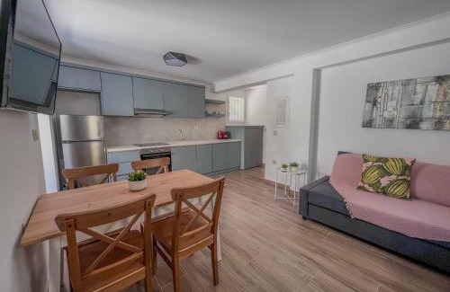Spanokhorion Apartment | Spyros Stone Apartment