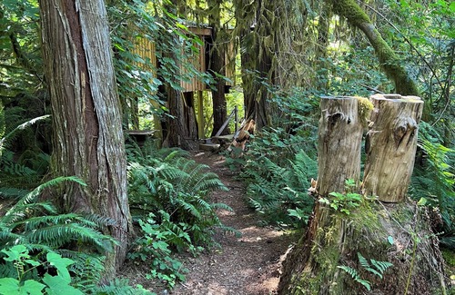 Upper Squamish Cabin | Squamish Tree House