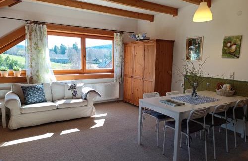 Svinna Apartment | Srub Javorná - apartmány Šumava