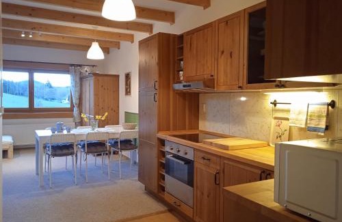 Svinna Apartment | Srub Javorná - apartmány Šumava