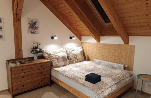 Svinna Apartment | Srub Javorná - apartmány Šumava