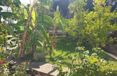 Aipeia House | St Andrews Seafront Appartement