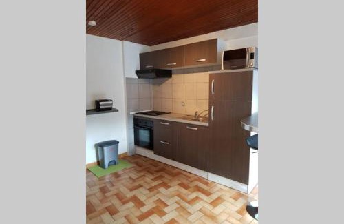 Vignec Apartment | ST LARY-VIGNEC Charmant studio au calme