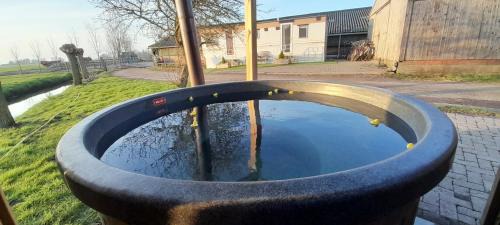 Sneek Other | Stacaravan op de paardenboerderij Sneek