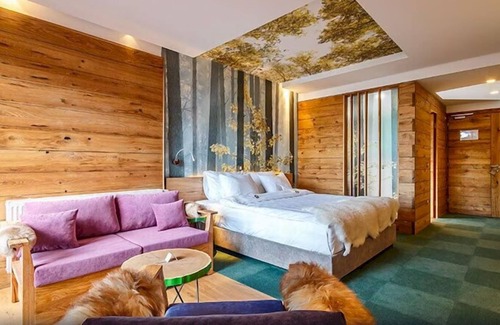 Sarajevo Canton House | Standard Double room with A/C BB