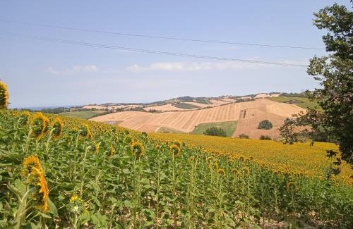 Bettolelle House | Stanza privata Filetto