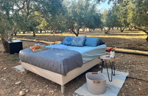 Mires Other | Star Sleep Mires - Cretan Vibes