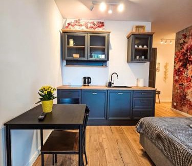 Elblag Apartment | STARE MIASTO KWIATY