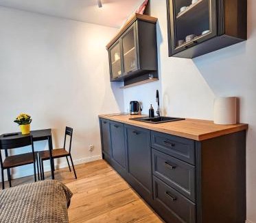 Elblag Apartment | STARE MIASTO KWIATY