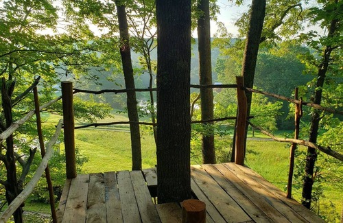 Grandview Cabin | Stargazer: a Unique forest immersive experience