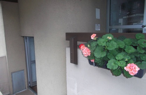 Lauterbrunnen Apartment | Staubbachfall opp. 1 Br max 4, 50mbus, quiet, own 24/7laundry, carport ⭐