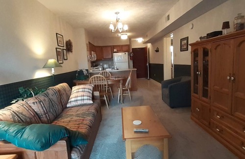 Davis Condo | Stay a week this time for GREAT discounts! Cozy Canaan Condo w/National Forest.
