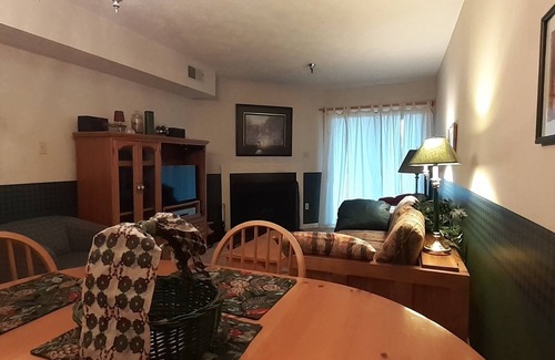 Davis Condo | Stay a week this time for GREAT discounts! Cozy Canaan Condo w/National Forest.
