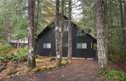 Rhododendron Cabin | Stay before 10/14! get the 3RD night FREE!Hot tub, cabin feel