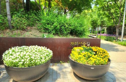 Yongmun-dong Apartment | Stay Byulbam - 5mins to Hyochang Park Station
