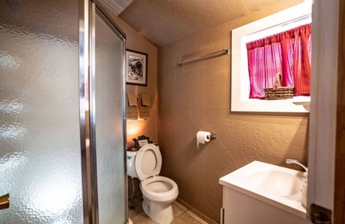 Pitkin Apartment | Stay in a historical mountain town!