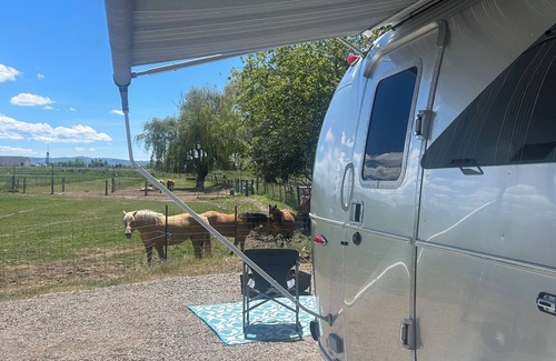 Bingham County House | Stay in style at a hobby farm!